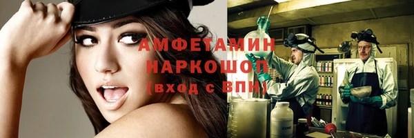 индика Протвино