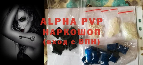 индика Протвино